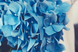 Modrá svatební kytice