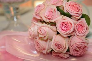 Růžová svatba
