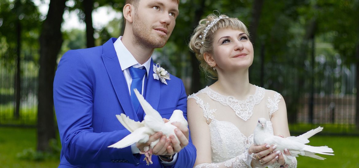 Svatební holubi