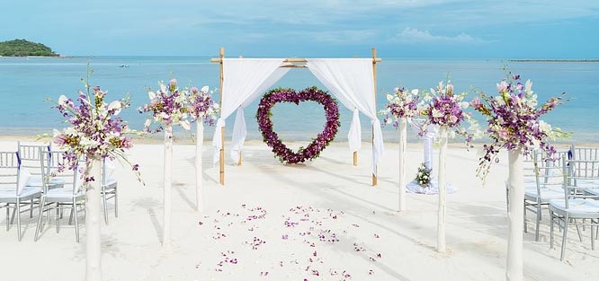 Prodej/pronájem svatební brány
